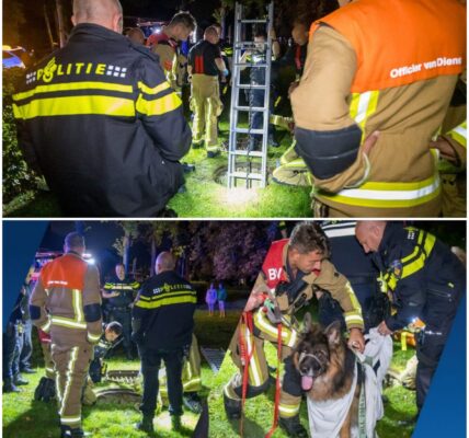 Vrouw en hond belanden in metersdiepe put in Vijfhuizen
