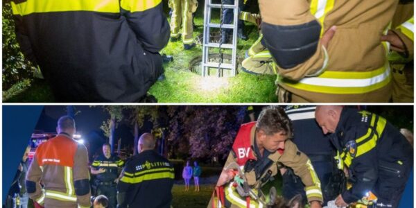Vrouw en hond belanden in metersdiepe put in Vijfhuizen