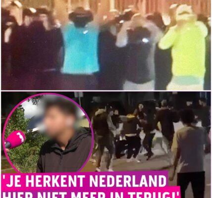Beelden uit Beverwijk steeds schokkender: ‘Dit gaat álle perken te buiten’