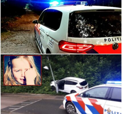 Huilende dochter (5) na dollemansrit: ‘Papa is stout, hij slaat mama altijd en hij doet ook ‘pieuw, pieuw’’
