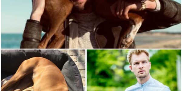 Ruben Van Gucht zegt na 3 jaar nog altijd slaapwel tegen overleden hond: “Het allerbeste wat ons overkwam op het allerslechtste moment”
