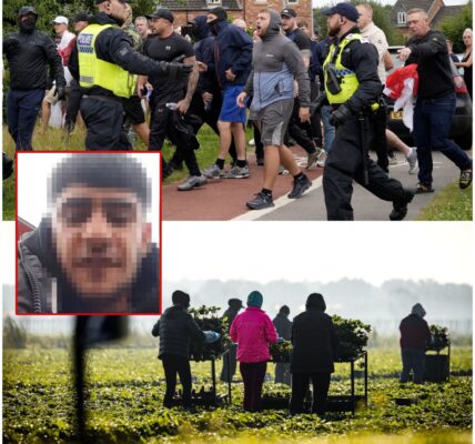 Deze beelden van een Syriër die zijn hart lucht over de werktijden tijdens zijn taakstraf gaat rond. Mensen vinden hem ondankbaar.