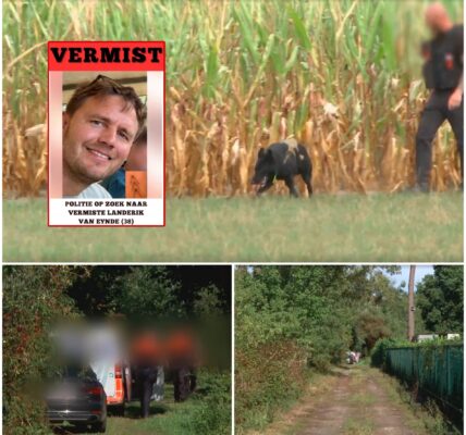 Vermiste jogger dood aangetroffen in maïsveld de grens van Sinaai en Waasmunster.
