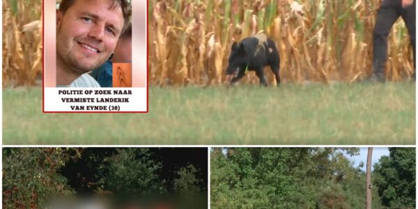 Vermiste jogger dood aangetroffen in maïsveld de grens van Sinaai en Waasmunster.