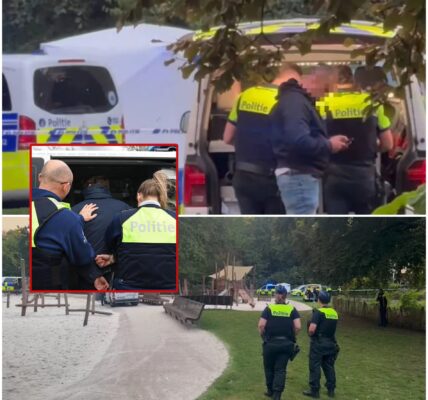 Dode na steekpartij in Stadspark van Antwerpen: politie arresteert zeven personen