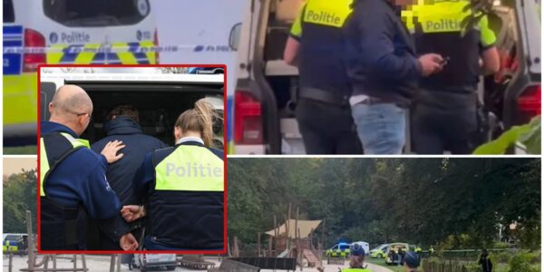 Dode na steekpartij in Stadspark van Antwerpen: politie arresteert zeven personen