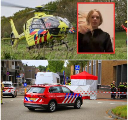 Vermissing in Eefde: vijftienjarige Lianne al dagen spoorloos, politie zoekt dringend tips
