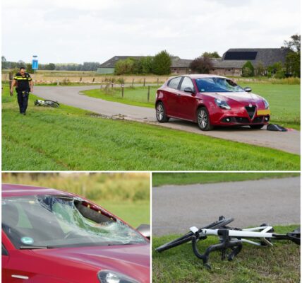 De helikopter landde in Apeldoorn, vlak bij de snelweg. De betrokken auto liep forse schade op: in de voorruit zit een groot gat en ook het dak heeft een flinke deuk.