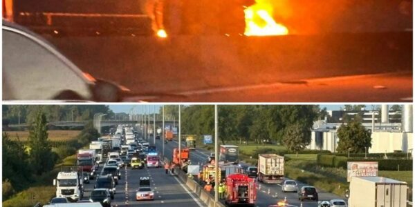 Nederlandse vrouw (52) overleden na zware botsing op E17 in Kruisem: vrachtwagen kreeg klapband en crashte tegen auto
