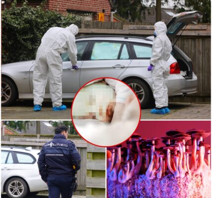 Shock in Helvoirt: ouders verdacht van marteling en dood baby (17 dagen) met ‘giftige paddo’s’