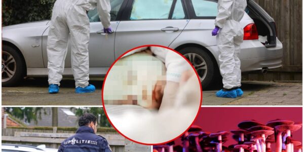 Shock in Helvoirt: ouders verdacht van marteling en dood baby (17 dagen) met ‘giftige paddo’s’