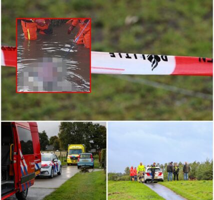 In het water in de omgeving van Beerta is een ontbonden lichaam gevonden. De politie doet momenteel onderzoek naar de identiteit van het slachtoffer en de omstandigheden rond het incident.