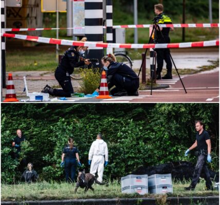 Identiteit verdachte moord Lisa nog altijd onbekend, beperkingen opgeheven