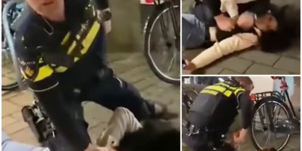 Schokkende video: Immigrantenmeisje dat niet wilde meewerken, werd bruut op de grond geduwd. Haar familie probeerde in te grijpen, maar kreeg geen gehoor!