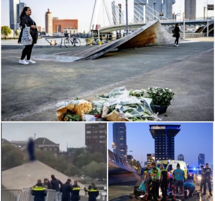 Sprong over Erasmusbrug: politie slaagt er niet in vrouw te stoppen die haar domme daad verricht voor verbijsterde omstanders
