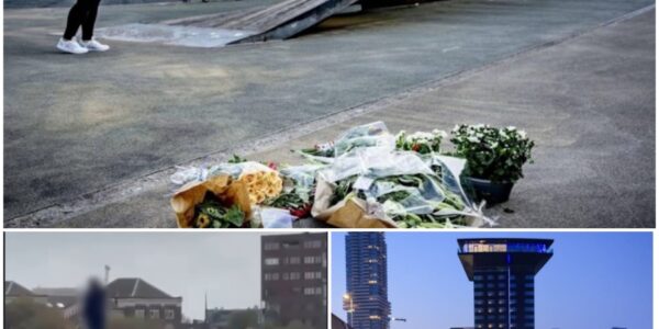 Sprong over Erasmusbrug: politie slaagt er niet in vrouw te stoppen die haar domme daad verricht voor verbijsterde omstanders