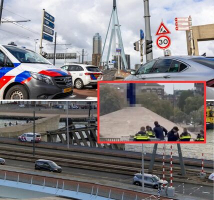 Vreselijk drama: Vrouw springt van Erasmusbrug