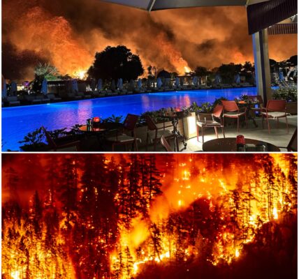 Flinke bosbrand dwingt Turks hotel tot ontruiming, ook Belgen geëvacueerd: “Nog nooit meegemaakt”
