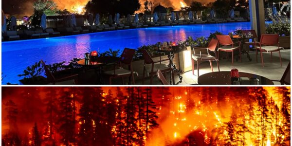 Flinke bosbrand dwingt Turks hotel tot ontruiming, ook Belgen geëvacueerd: “Nog nooit meegemaakt”