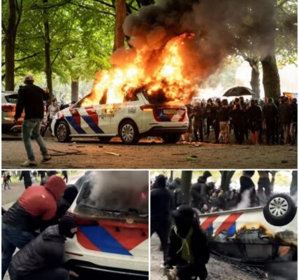 Protest op malieveld wordt complete veldslag: Politieauto’s in brand gestoken