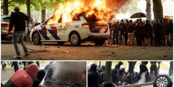 Protest op malieveld wordt complete veldslag: Politieauto’s in brand gestoken