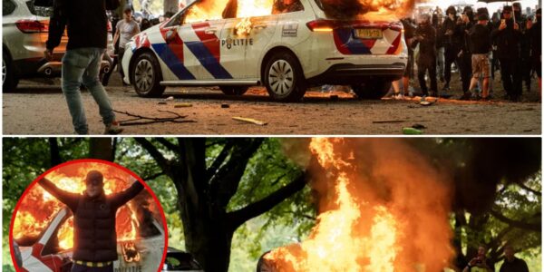 Protest tegen asielbeleid in Nederland loopt compleet uit de hand – Geert Wilders: “Snoeihard aanpakken dat tuig”