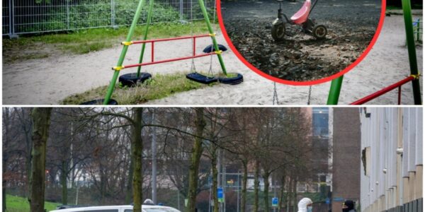 7-jarig kind verkracht door 14-jarige jongen in speeltuin, beiden uit azc - 112 Nederland