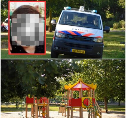 Jongetje (7) meegenomen uit speeltuintje in Barendrecht en verkracht