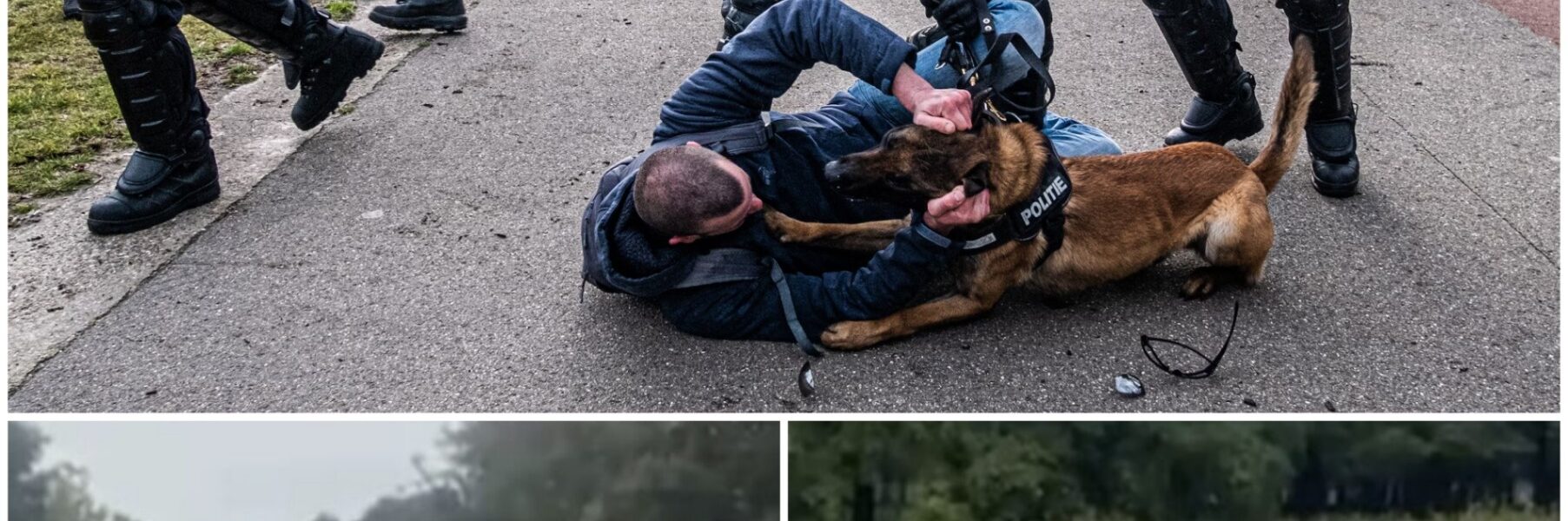 Relschopper op het Malieveld in Den Haag genadeloos gevloerd door een boom van een ME'er. Dat wordt tandjes tuffen!