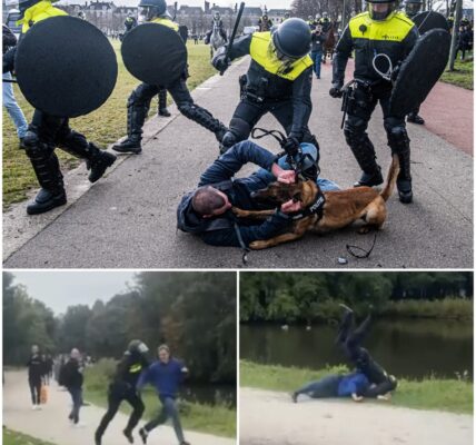Relschopper op het Malieveld in Den Haag genadeloos gevloerd door een boom van een ME'er. Dat wordt tandjes tuffen!