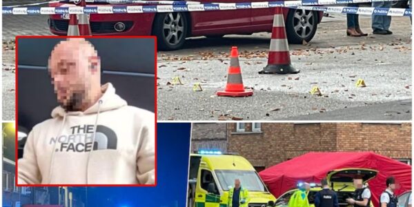 De moordenaar die zondag in Roeselare drie mensen doodstak, is na een urenlange klopjacht opgepakt.