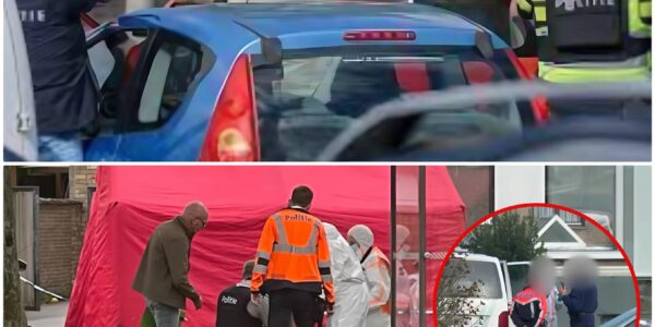 Bloedbad in Roeselare: Dader steekt drie mensen dood en jaagt urenlang angst door de stad tot arrestatie in Izegem