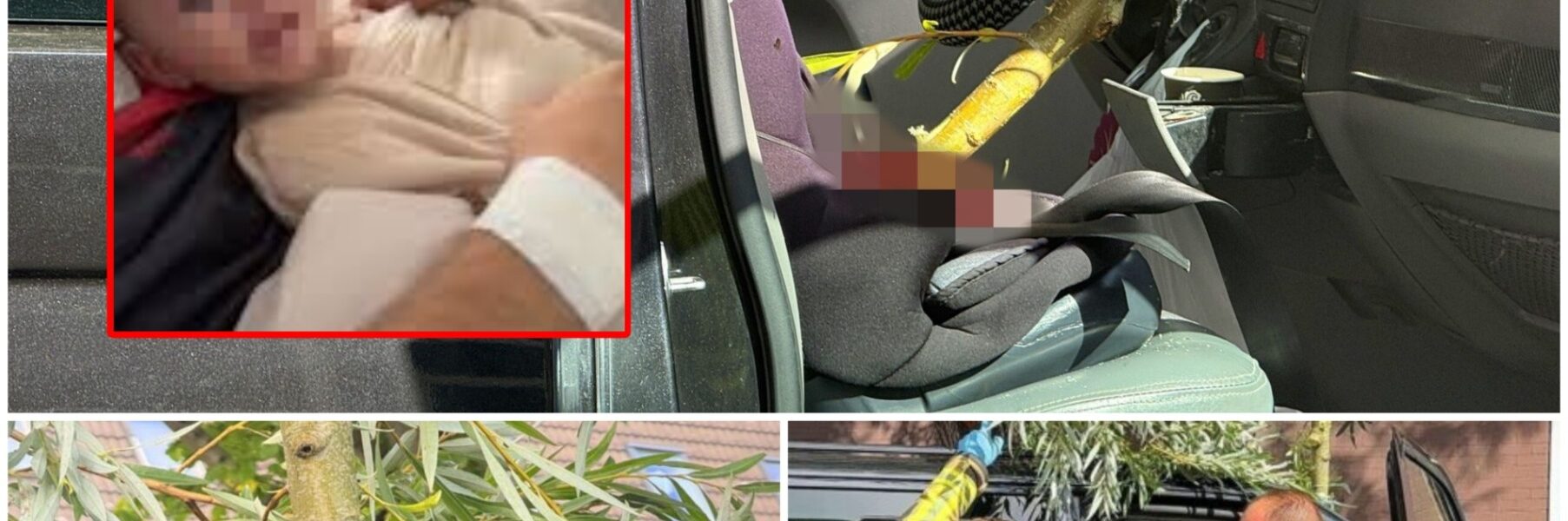 Een afgebroken boomtak doorboorde de voorruit van een rijdende vrachtwagen. In de bestelbus zat een kind in een kinderzitje op de bijrijdersstoel.