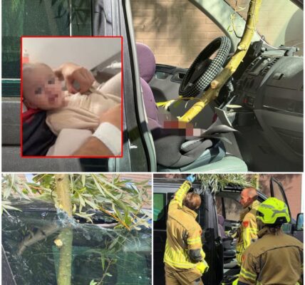 Een afgebroken boomtak doorboorde de voorruit van een rijdende vrachtwagen. In de bestelbus zat een kind in een kinderzitje op de bijrijdersstoel.