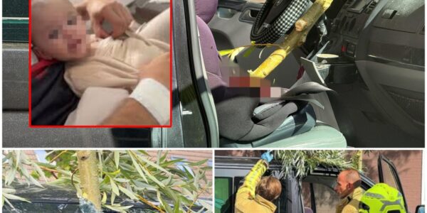 Een afgebroken boomtak doorboorde de voorruit van een rijdende vrachtwagen. In de bestelbus zat een kind in een kinderzitje op de bijrijdersstoel.