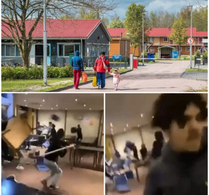Schokkende video uit AZC Lochem: asielzoekers slopen hotellobby tijdens massale vechtpartij