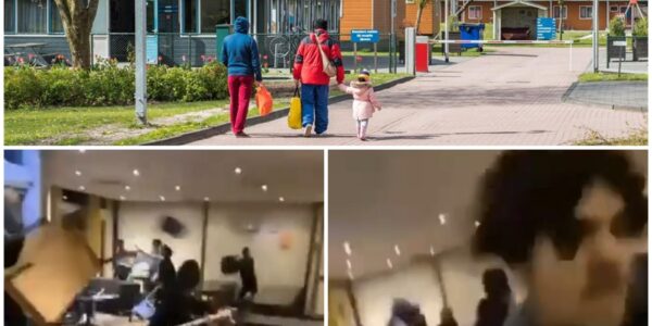 Schokkende video uit AZC Lochem: asielzoekers slopen hotellobby tijdens massale vechtpartij