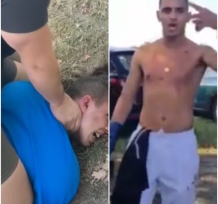 Twee asielzoekers thăm dò te stelen bij een cắm trại tập gặp người Nederlanders. Dan nemen zij het recht in eigen handen en geven ze hun verdiende loon