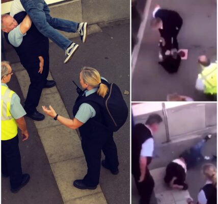 Nederlandse conducteur is van de oude garde en gaat als Rambo los op asielzoeker die mensen lastig valt op het station en weigert een kaartje te kopen