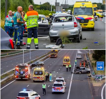 VIDEO: Drama op de N284: bestuurder komt om bij eenzijdige crash in Bladel