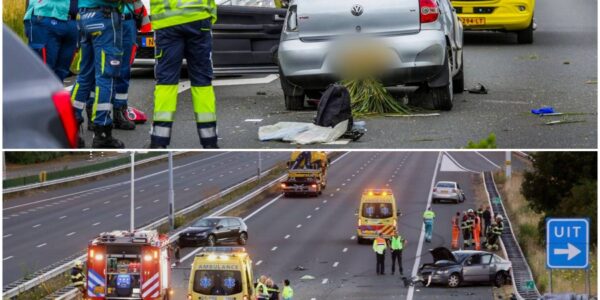 VIDEO: Drama op de N284: bestuurder komt om bij eenzijdige crash in Bladel