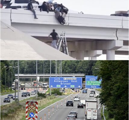 Lichaam hangt urenlang achter verkeersbord op Brusselse ring