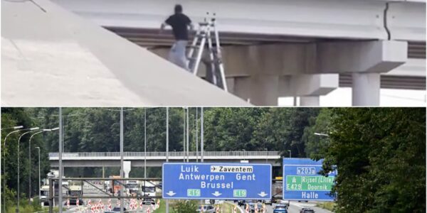Lichaam hangt urenlang achter verkeersbord op Brusselse ring