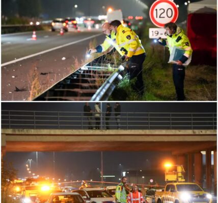 Tragisch ongeval op A59 bij Waalwijk: vrouw overlijdt na poging om snelweg over te steken