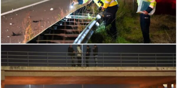 Tragisch ongeval op A59 bij Waalwijk: vrouw overlijdt na poging om snelweg over te steken