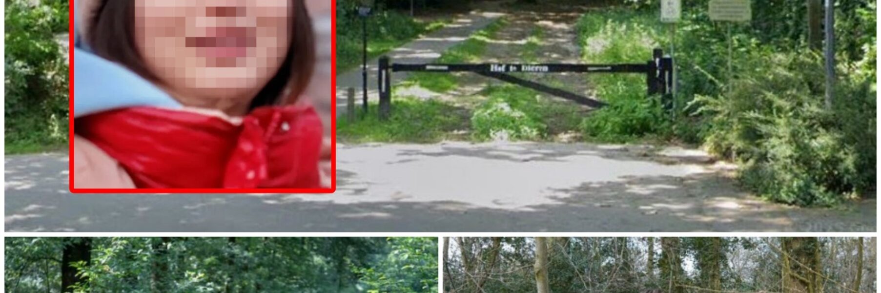 Vrouw (24) vermist nadat ze uit trein stapt: grote zoekactie in bossen