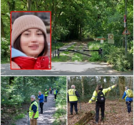 Vrouw (24) vermist nadat ze uit trein stapt: grote zoekactie in bossen