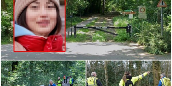 Vrouw (24) vermist nadat ze uit trein stapt: grote zoekactie in bossen
