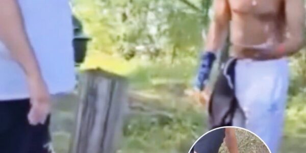 Twee asielzoekers proberen te stelen bij een Nederlandse camping: mannen grijpen zelf in