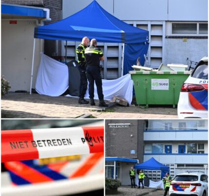 Tragisch ongeval in Alkmaar: persoon overlijdt na val van grote hoogte aan de Honthorstlaan